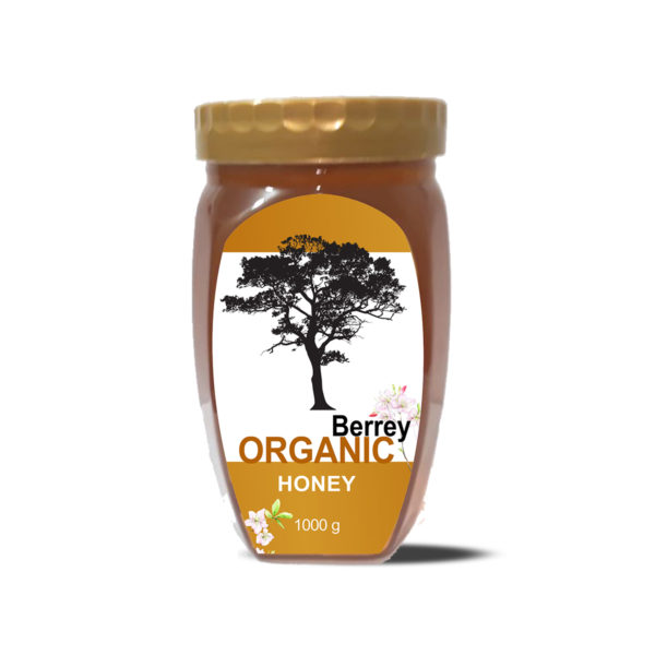 organic berry honey pakistan